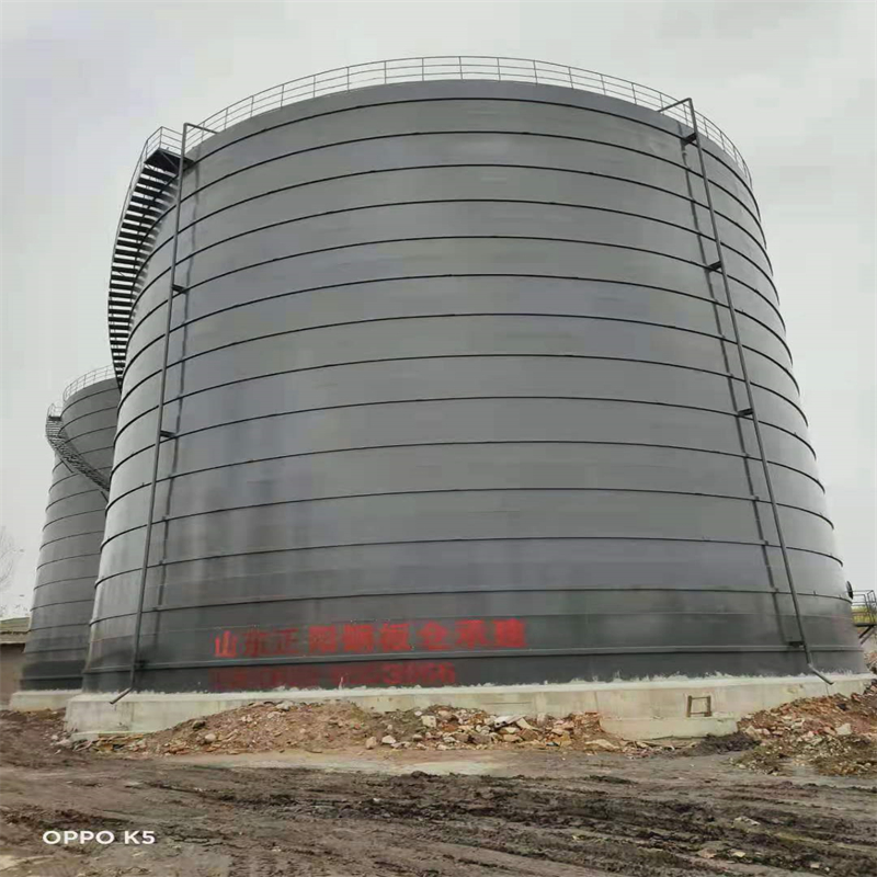 饶河3万吨大型钢板库