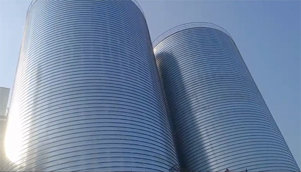 饶河2座混凝土高架卷板仓